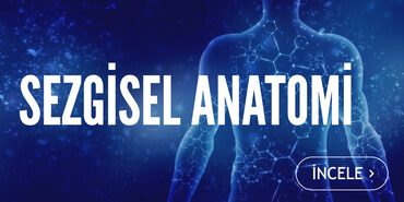 ThetaHealing® Intuitive Anatomy Sezgisel Anatomi Semineri ThetaHealing® Intuitive Anatomy Sezgisel Anatomi Semineri