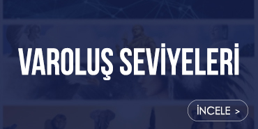 varolus seviyeleri